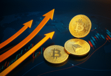 About RobTheCoins