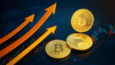 About RobTheCoins